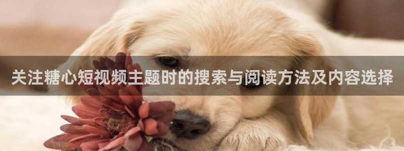 糖心logo唐伯虎沈娜娜