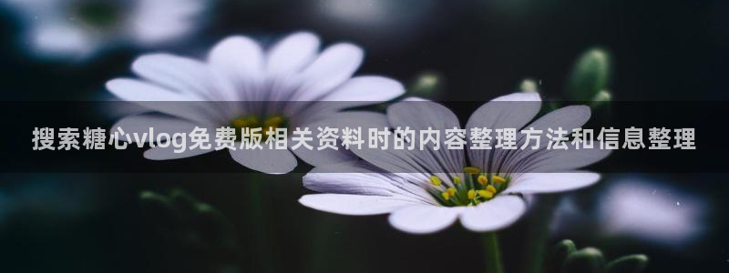 糖心vlog免费版:搜索糖心vlog免费版相关资料时的内容整理方法和信息整理