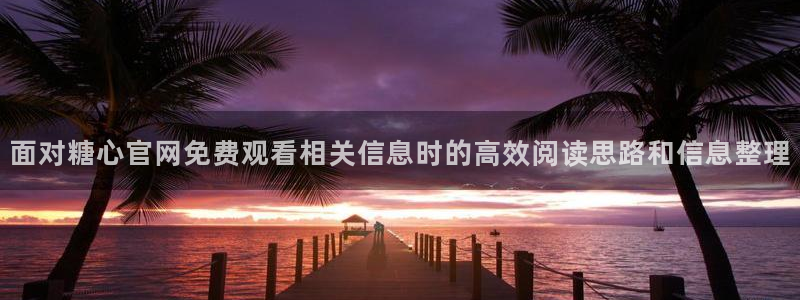 心糖vlog官网