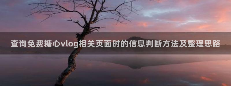 糖心vlog在线观看