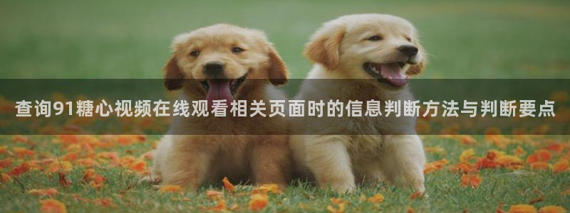 糖心vlogapp官网