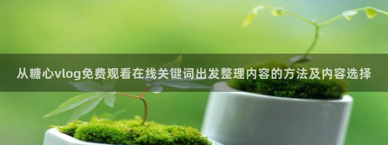 糖心网站在线观看