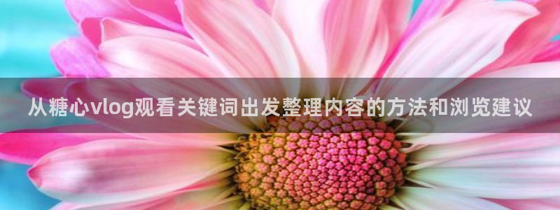 糖心vlog网址:从糖心vlog观看关键词出发整理内容的方法和浏览建议