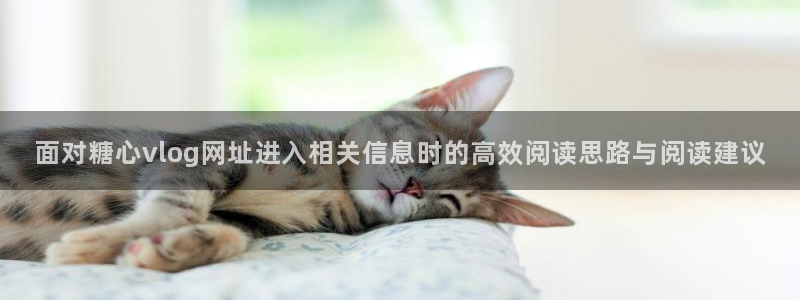 糖心免费看片