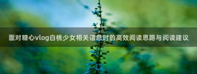 糖心vlogapp:面对糖心vlog白桃少女相关信息时的高效阅读思路与阅读建议