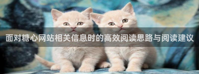 糖心vloge:面对糖心网站相关信息时的高效阅读思路与阅读建议
