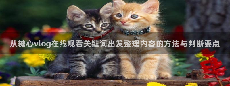糖心vlog网页版:从糖心vlog在线观看关键词出发整理内容的方法与判断要点
