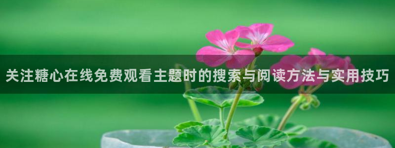 糖心视频网站