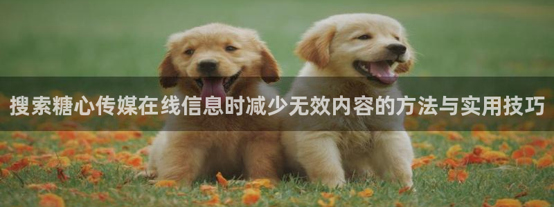 糖心vlog在线观看：搜索糖心传媒在线信息时减少无效内容的方法与实用技巧