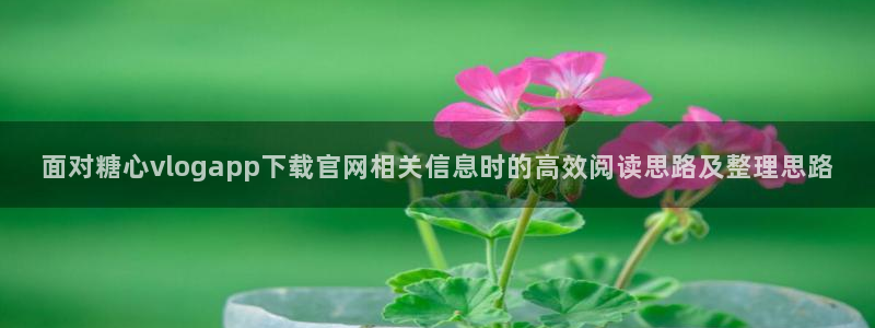 糖心视频下载:面对糖心vlogapp下载官网相关信息时的高效阅读思路及整理思路