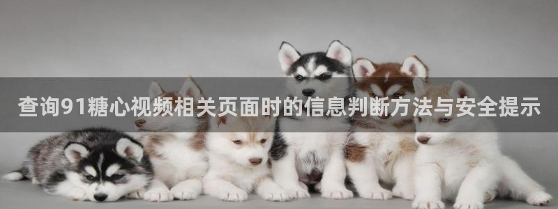 糖心在线看:查询91糖心视频相关页面时的信息判断方法与安全提示