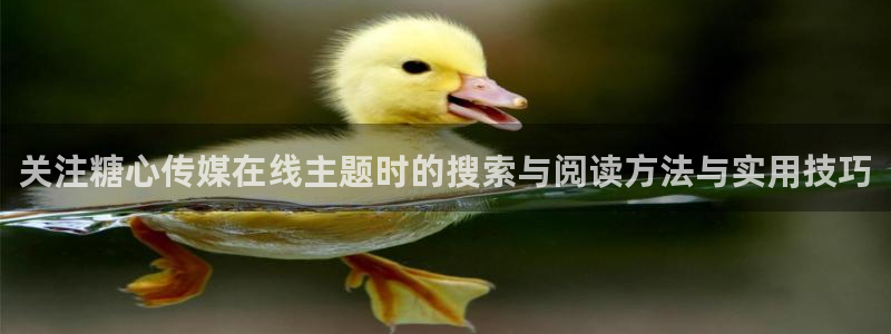 糖心网站:关注糖心传媒在线主题时的搜索与阅读方法与实用技巧